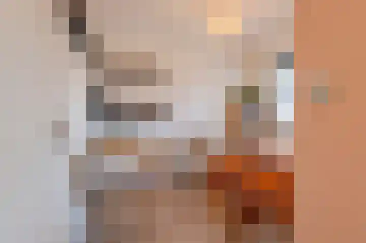 Rosmolen 1 Wijk bij Duurstede thumbnail 16