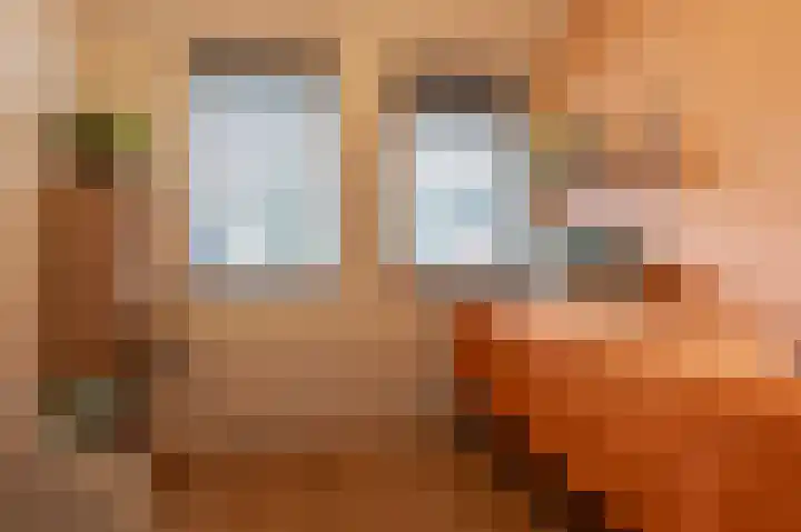 Rosmolen 1 Wijk bij Duurstede thumbnail 18