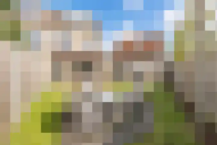 Rosmolen 1 Wijk bij Duurstede foto 2
