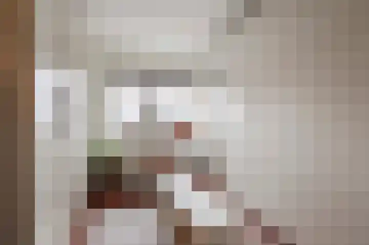 Rosmolen 1 Wijk bij Duurstede thumbnail 22