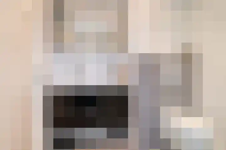 Rosmolen 1 Wijk bij Duurstede thumbnail 24