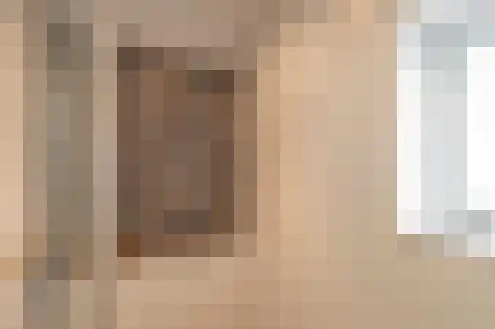Rosmolen 1 Wijk bij Duurstede thumbnail 27