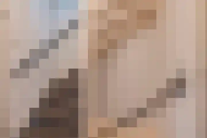 Rosmolen 1 Wijk bij Duurstede thumbnail 28