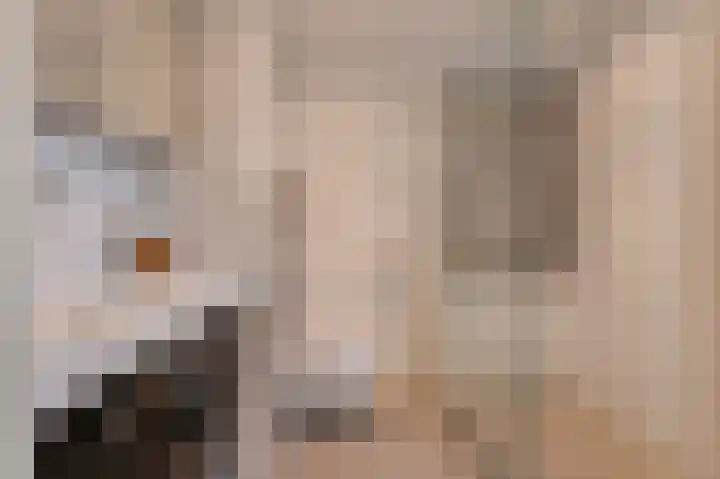 Rosmolen 1 Wijk bij Duurstede foto 3