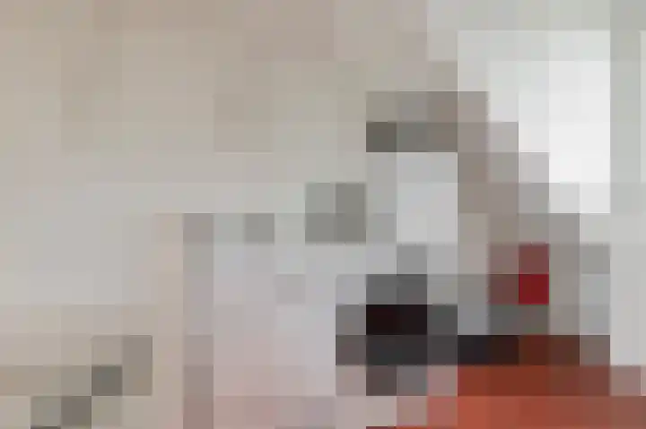 Rosmolen 1 Wijk bij Duurstede thumbnail 30