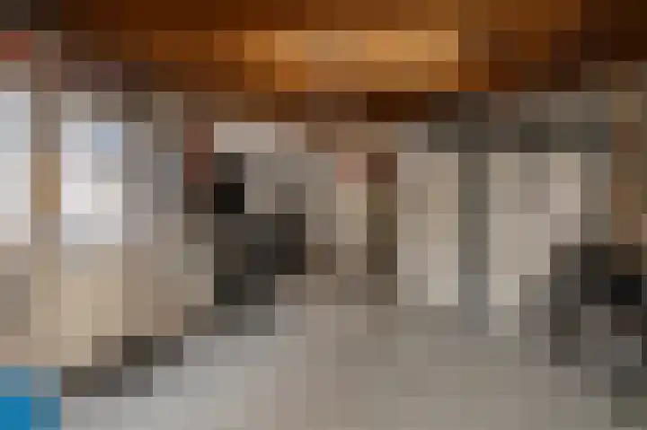 Rosmolen 1 Wijk bij Duurstede thumbnail 35