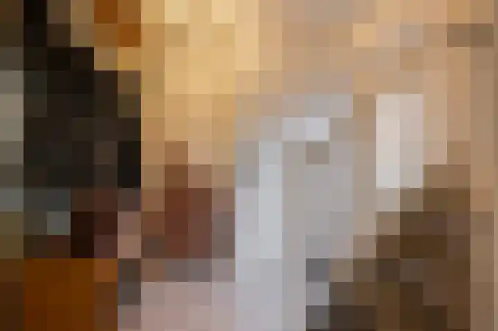 Rosmolen 1 Wijk bij Duurstede thumbnail 5