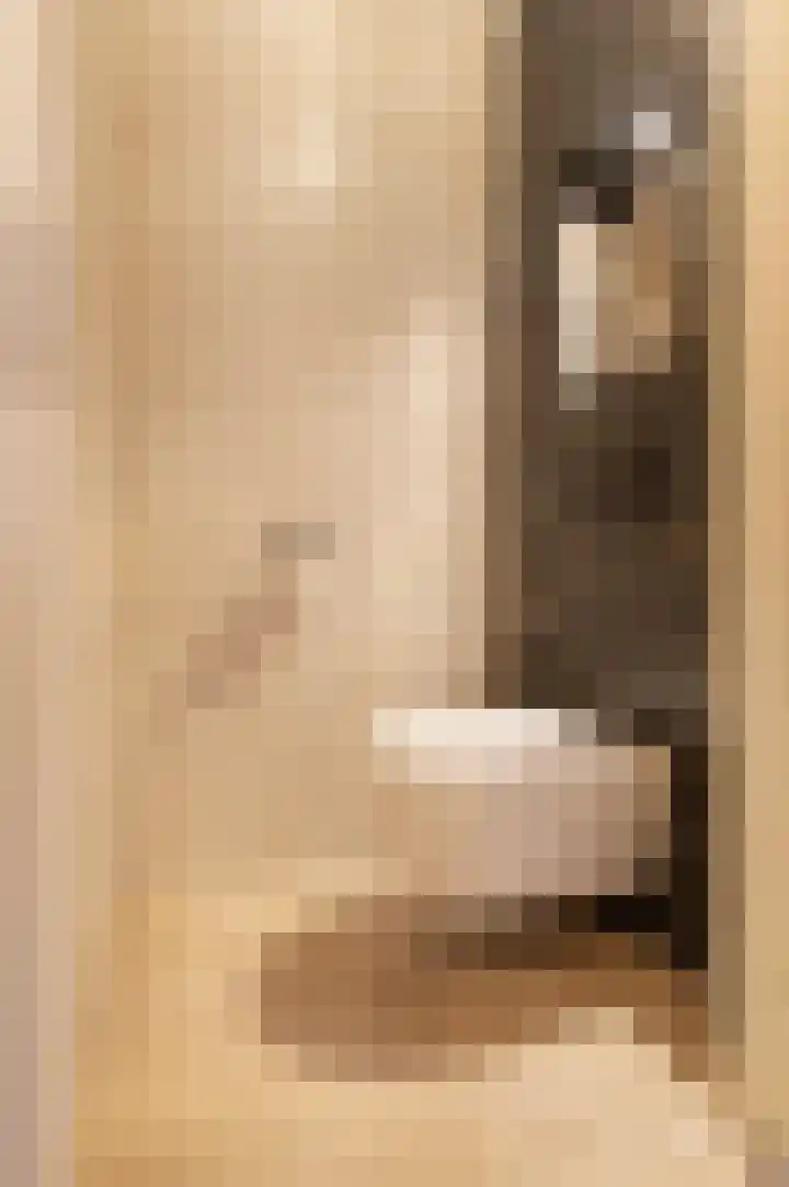 Rosmolen 1 Wijk bij Duurstede thumbnail 6