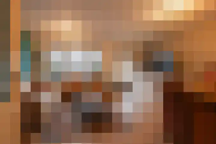Rosmolen 1 Wijk bij Duurstede thumbnail 7