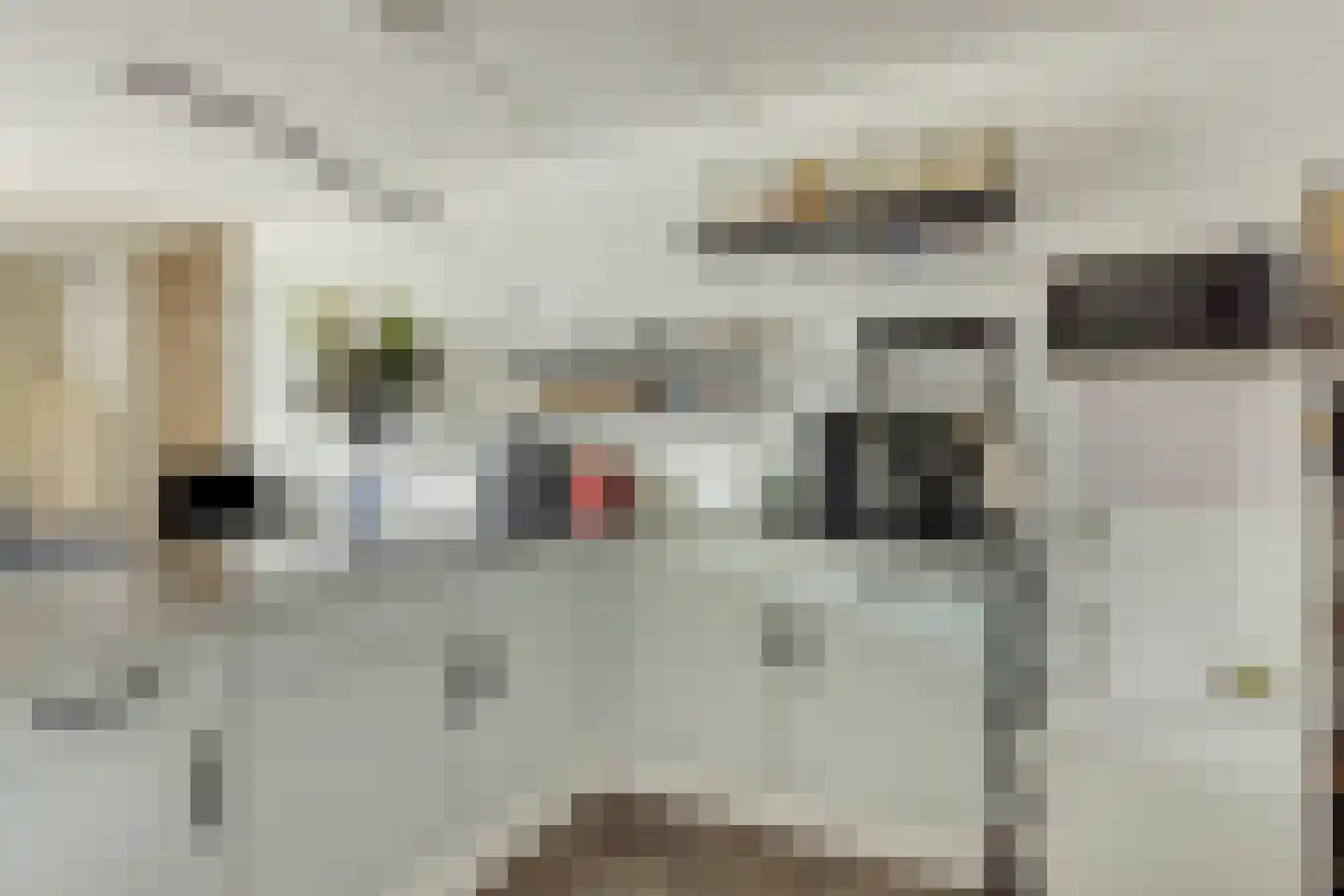 Rosmolen 100 Leiden thumbnail 14