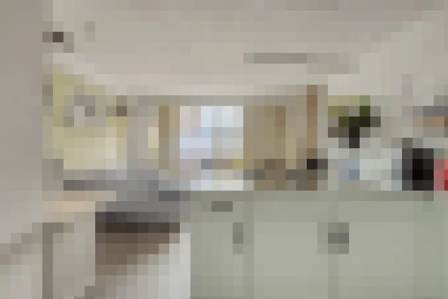 Rosmolen 100 Leiden thumbnail 15