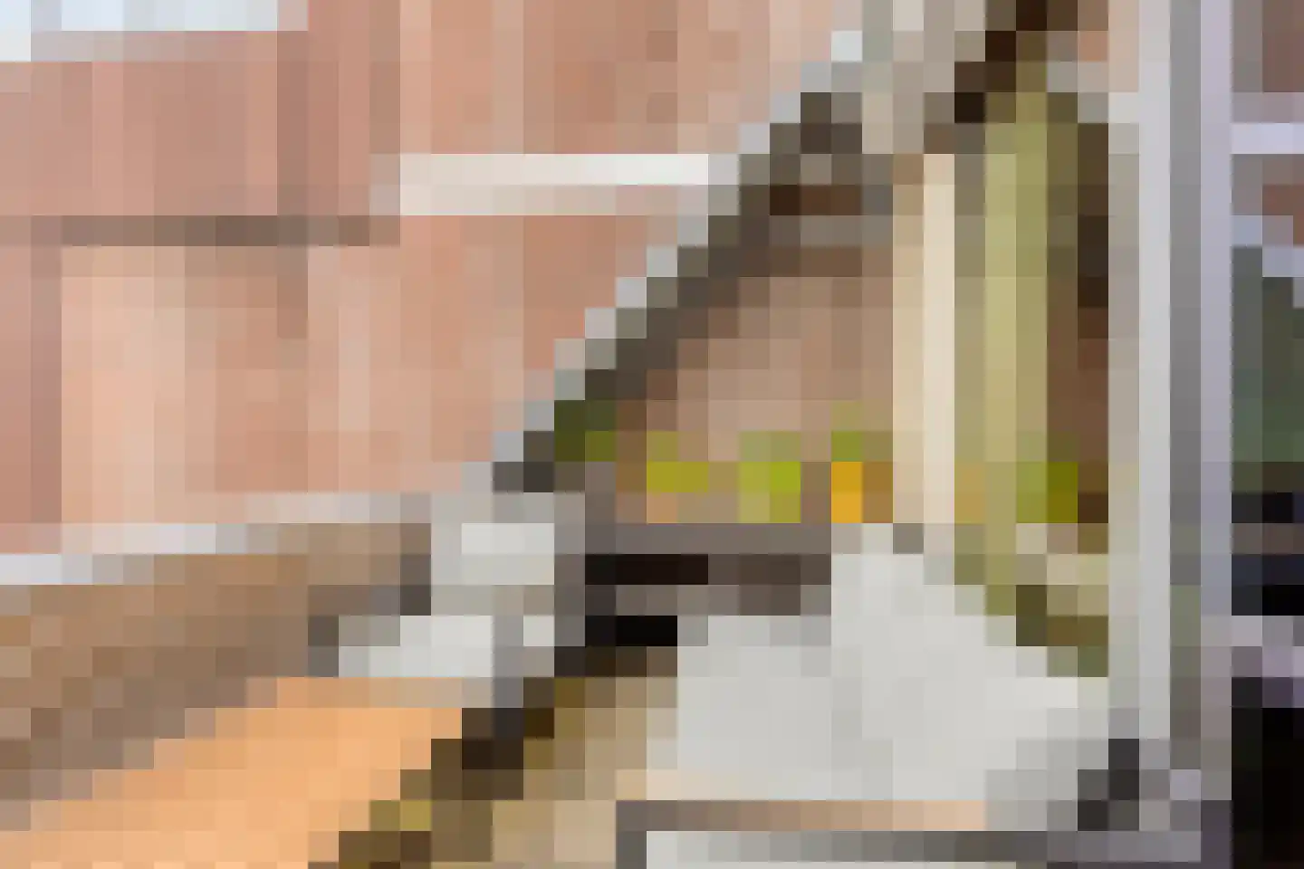 Rosmolen 100 Leiden thumbnail 21