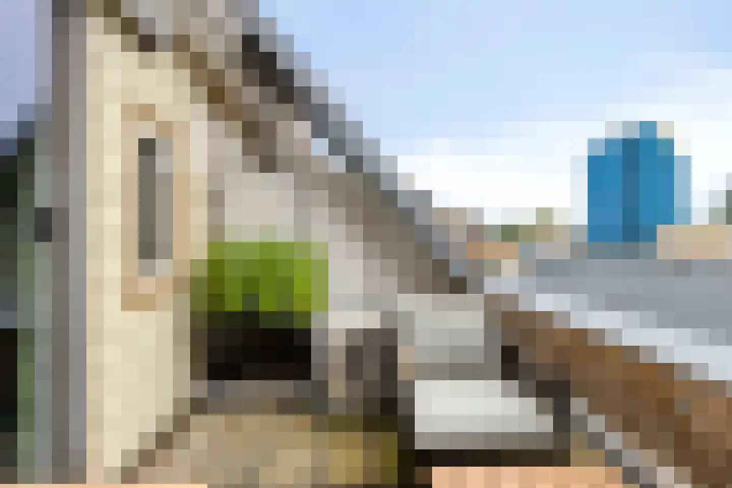 Rosmolen 100 Leiden thumbnail 22