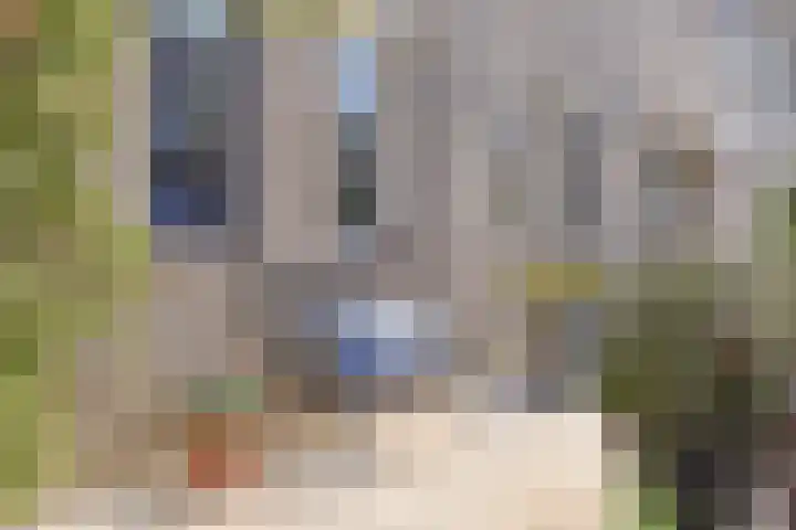 Rosmolen 108 Alphen aan den Rijn foto 3
