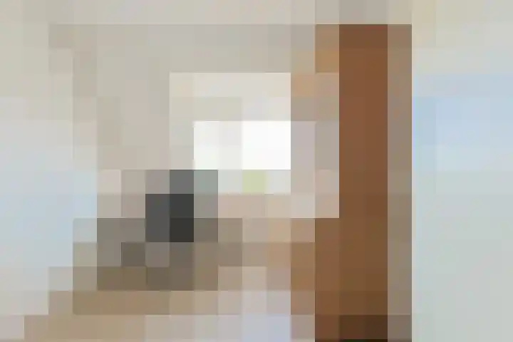 Rosmolen 108 Alphen aan den Rijn thumbnail 31
