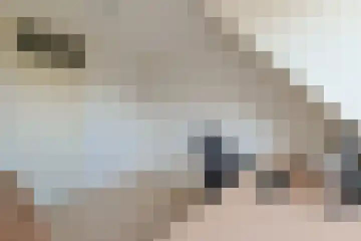 Rosmolen 108 Alphen aan den Rijn thumbnail 33