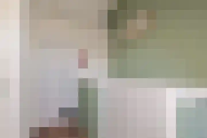 Rosmolen 108 Alphen aan den Rijn thumbnail 38