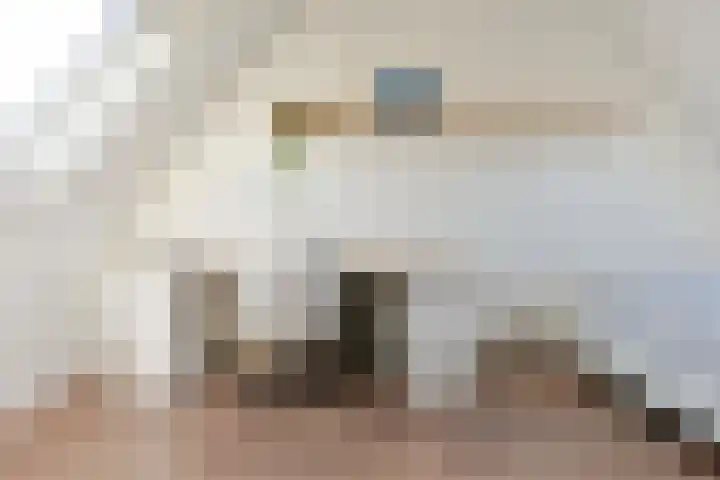 Rosmolen 108 Alphen aan den Rijn thumbnail 42