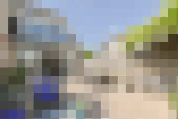Rosmolen 108 Alphen aan den Rijn thumbnail 44