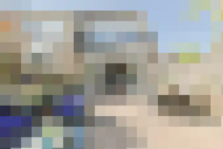 Rosmolen 108 Alphen aan den Rijn thumbnail 45