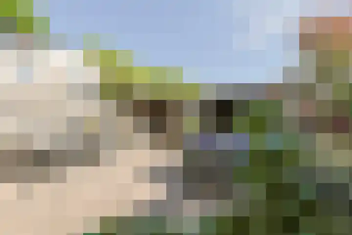Rosmolen 108 Alphen aan den Rijn thumbnail 47