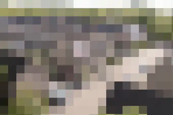 Rosmolen 108 Alphen aan den Rijn thumbnail 5