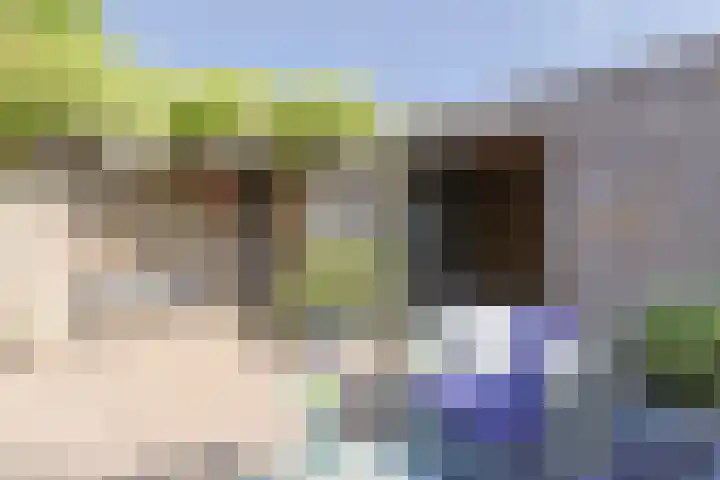 Rosmolen 108 Alphen aan den Rijn thumbnail 50