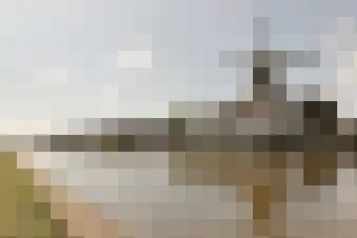 Rosmolen 108 Alphen aan den Rijn thumbnail 52