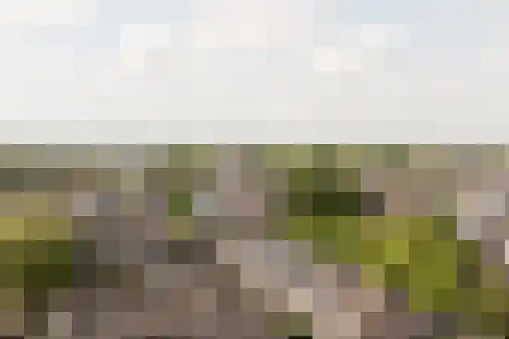 Rosmolen 108 Alphen aan den Rijn thumbnail 53