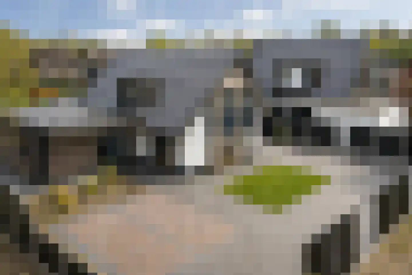 Rosmolen 11 A in de Lutte