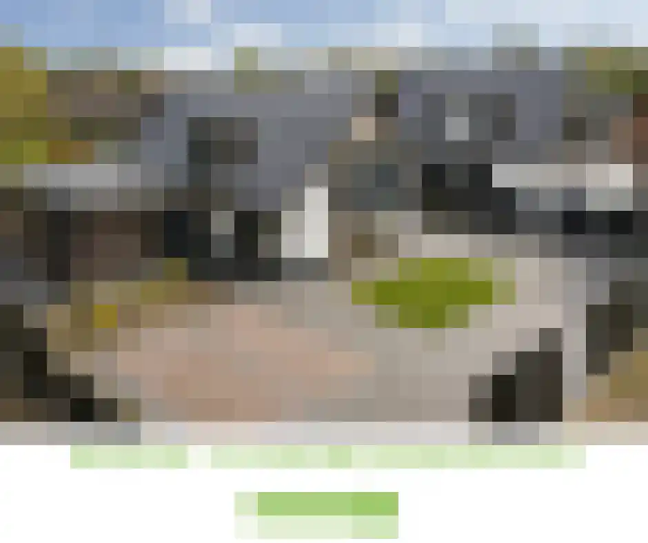 Rosmolen 11 A de Lutte thumbnail 35