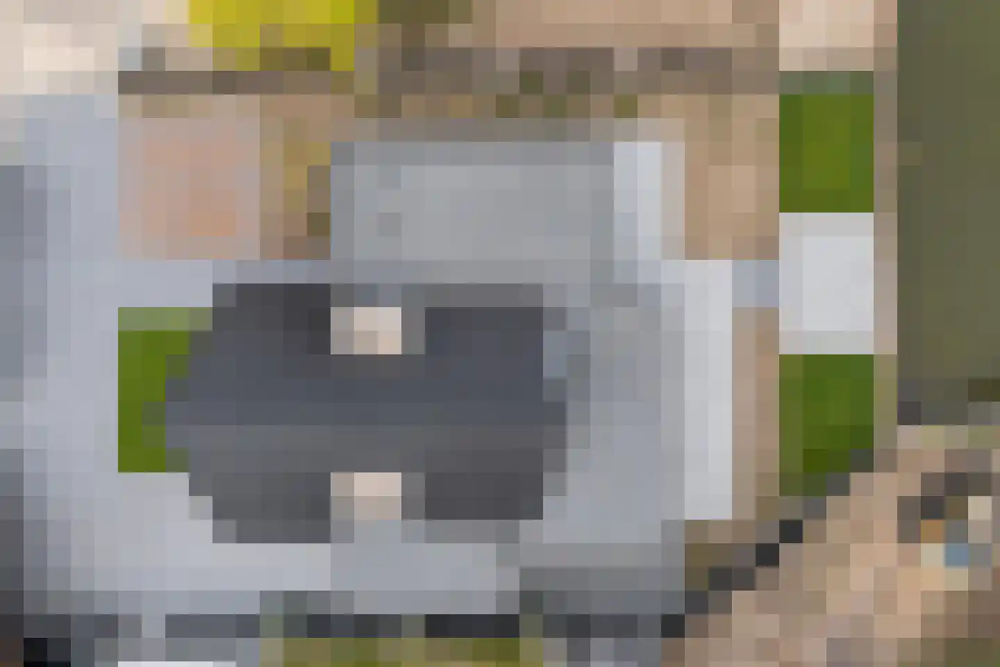 Rosmolen 11 A de Lutte thumbnail 6