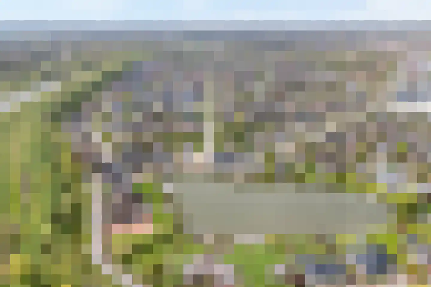 Rosmolen 11 A de Lutte thumbnail 7