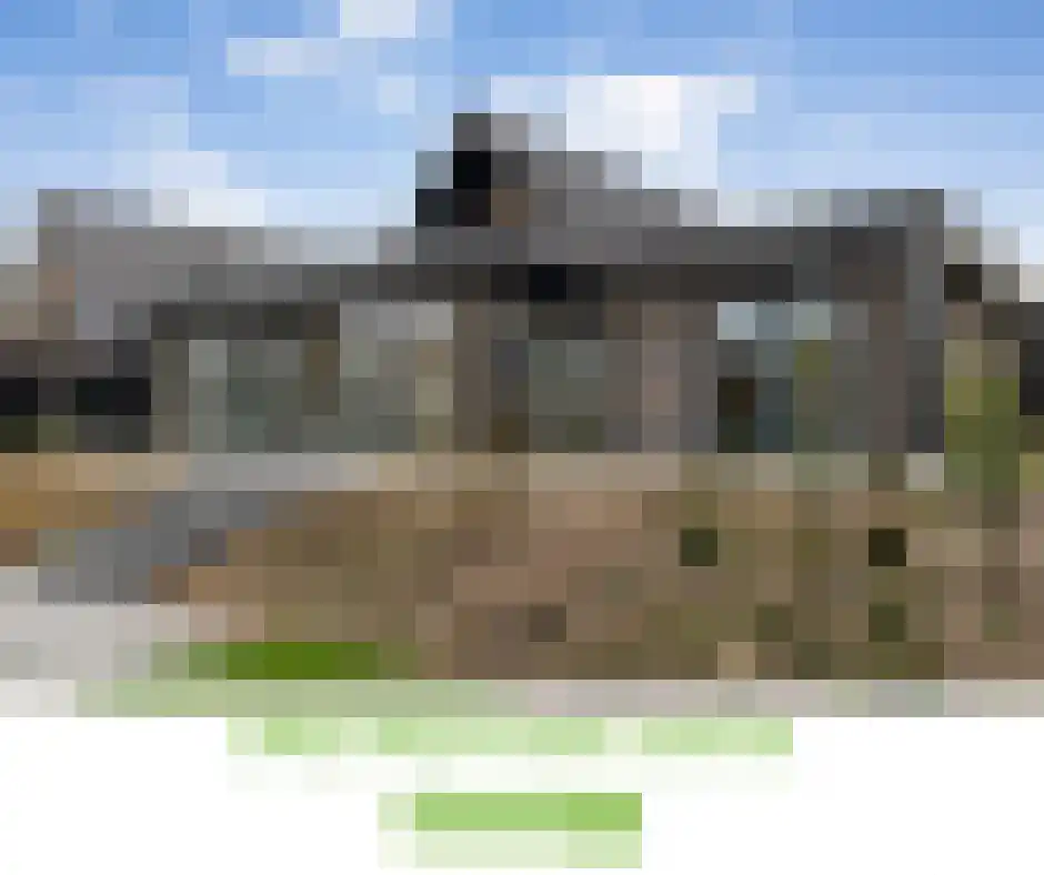 Rosmolen 11 A de Lutte thumbnail 8