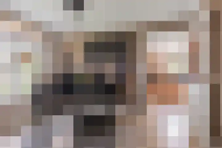 Rosmolen 13 de Lutte thumbnail 10