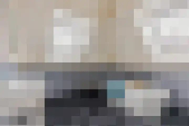 Rosmolen 13 de Lutte thumbnail 13