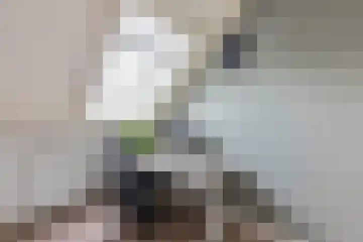 Rosmolen 13 de Lutte thumbnail 15