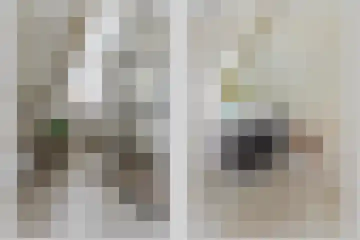 Rosmolen 13 de Lutte thumbnail 16