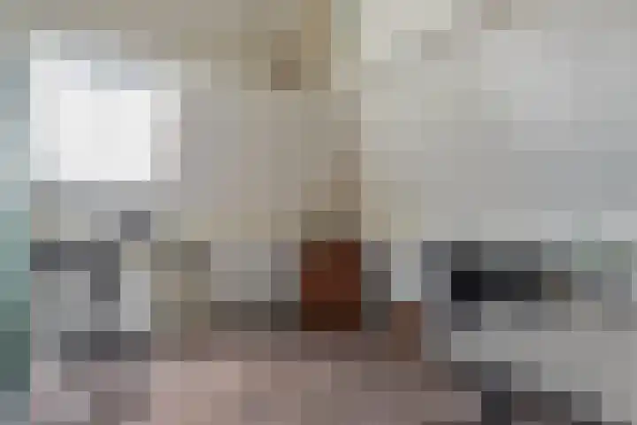 Rosmolen 13 de Lutte thumbnail 17