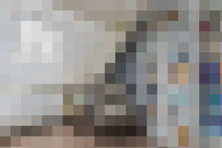 Rosmolen 13 de Lutte thumbnail 18