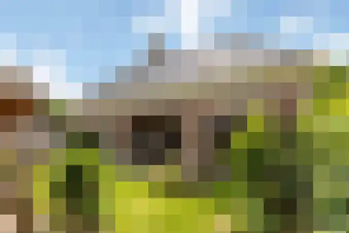 Rosmolen 13 de Lutte thumbnail 21