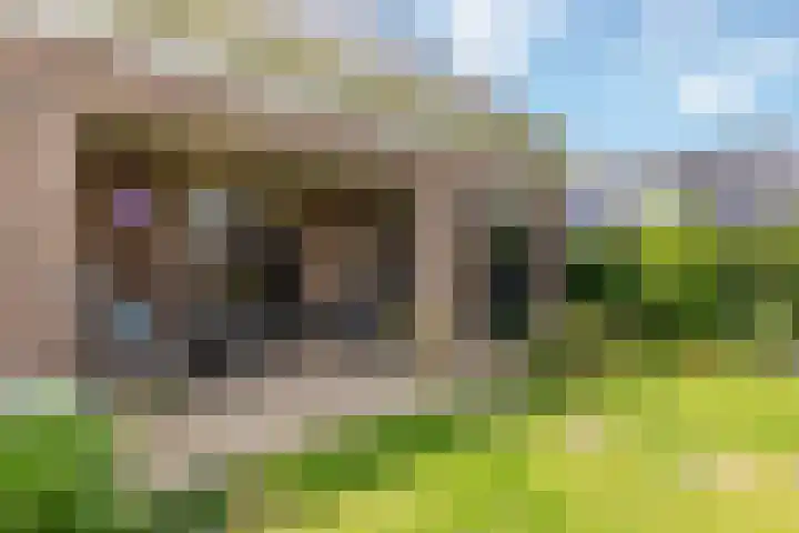 Rosmolen 13 de Lutte thumbnail 22