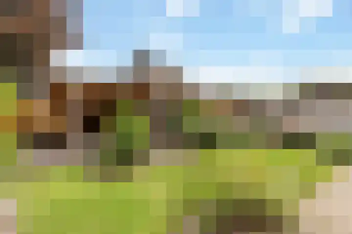 Rosmolen 13 de Lutte thumbnail 23