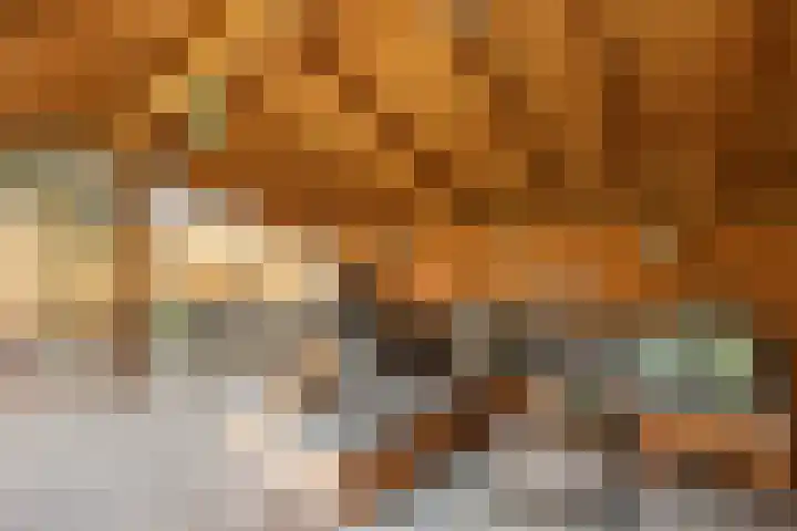 Rosmolen 13 de Lutte thumbnail 24