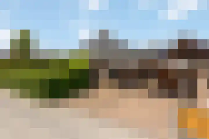 Rosmolen 13 de Lutte foto 3