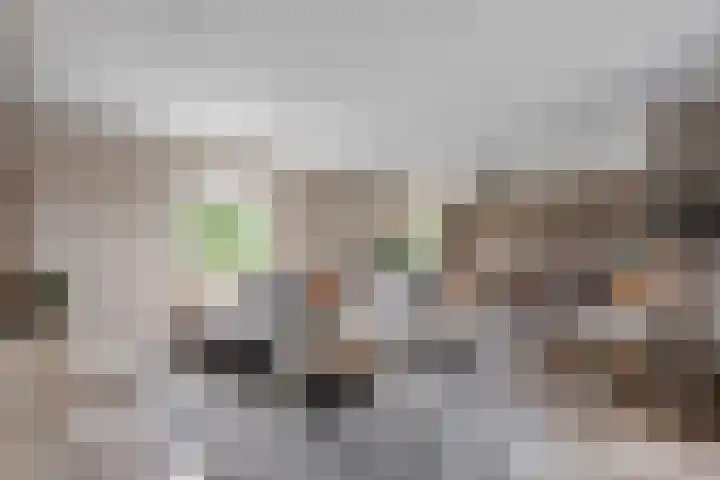 Rosmolen 13 de Lutte thumbnail 6