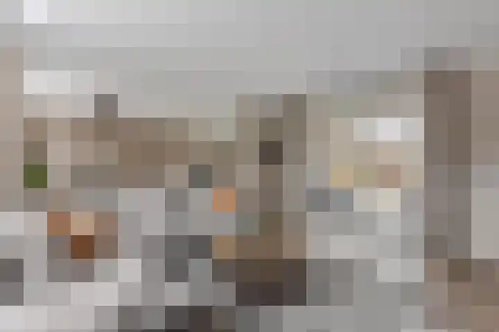 Rosmolen 13 de Lutte thumbnail 7