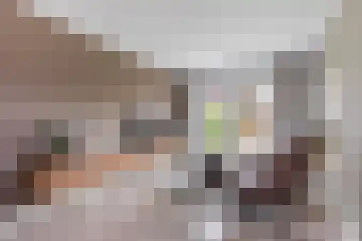 Rosmolen 13 de Lutte thumbnail 8
