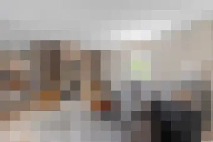 Rosmolen 13 de Lutte thumbnail 9