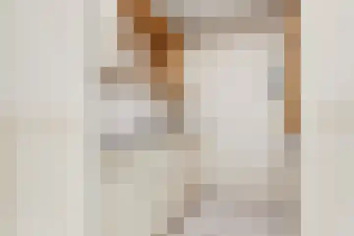 Rosmolen 14 De Lier thumbnail 11